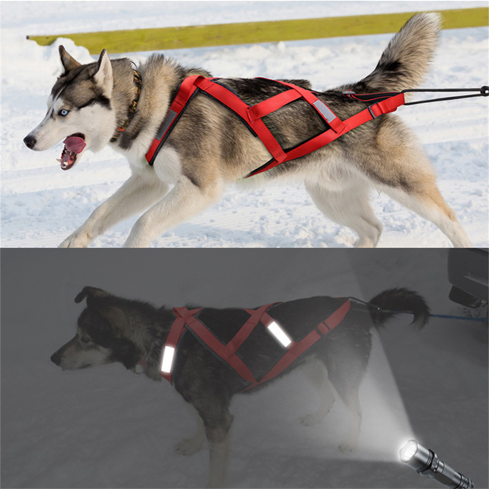 Harness Anjing Berkualitas Tin - Reflective Jacket Running ulasan dan harga